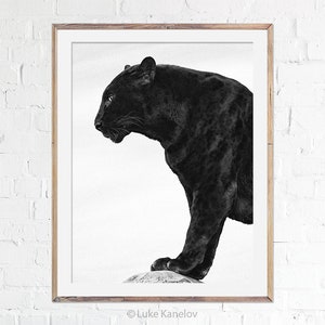 Black Panther Wall Art, Panther Print, Jaguar, Wild Cat, Wildlife, Fine Art Print, Handmade, Home Decor, Modern Print, Cat Lover Gift