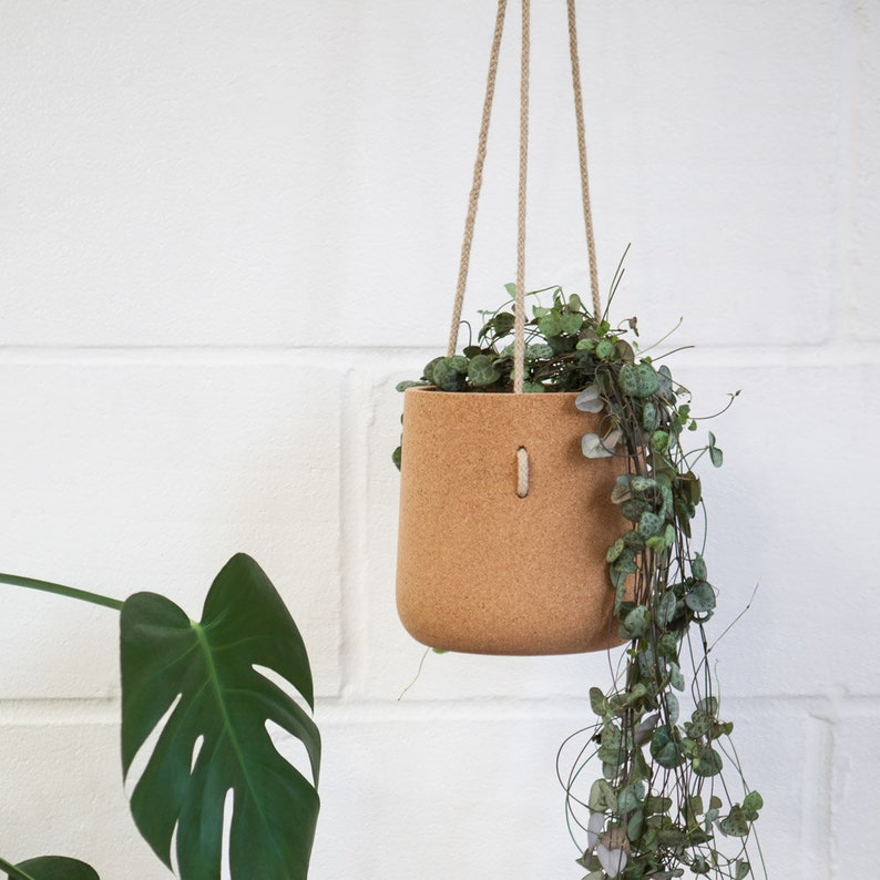 Atlas Cork Hanging Planter image 2