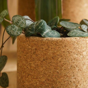 Bloem Cork Planter image 4