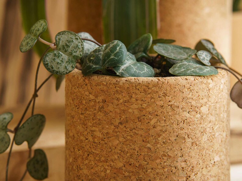 Bloem Cork Planter image 4