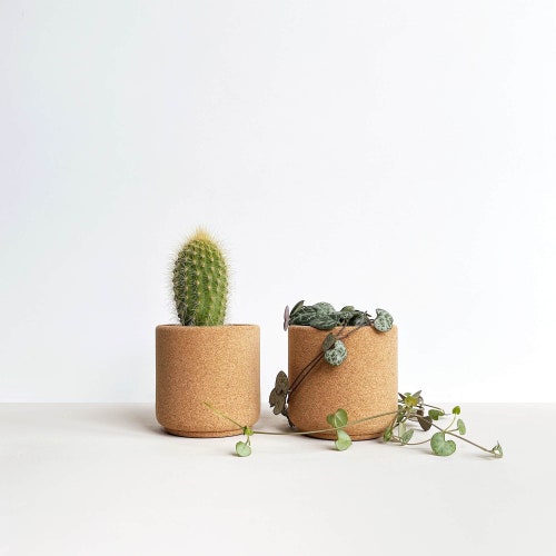 Bloem Cork Planter