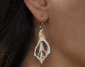 Fighting Conch Seashell Earrings, Sanibel Island Jewelry, Gold Plated Jewelry, Sanibel Seashell Art, Seashell Earrings, Florida Jewelry