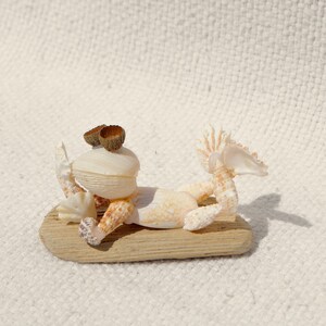 Seashell Frog Suntanning, Frog Figurine, Seashell Art, Sanibel Island Florida Seashell Art