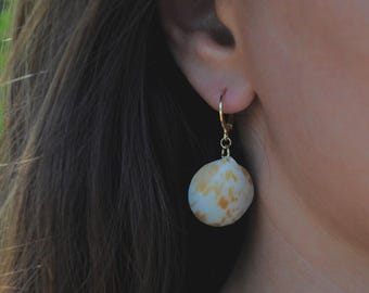 Bittersweet Clam Earrings, Sanibel Seashell Huggie Hoop Earrings, Florida Beach Jewelry