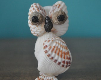 Broad-Ribbed Cardita Seashell Owl