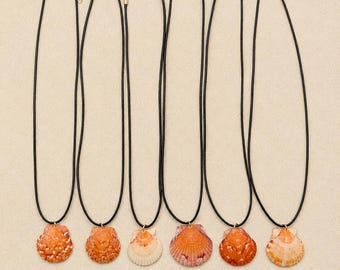 Calico Scallop Seashell Necklace