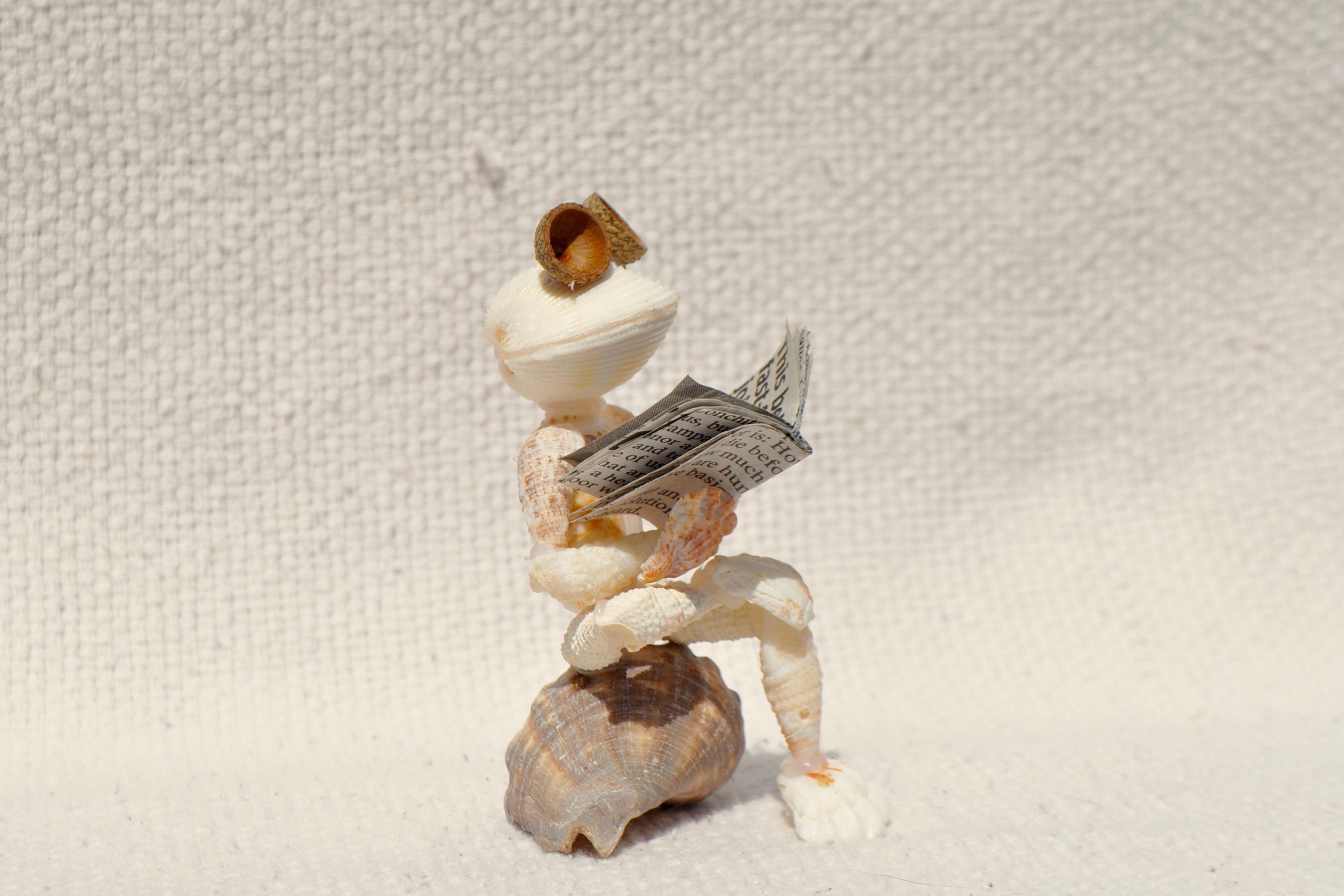 Seashell Frog Suntanning, Frog Figurine, Seashell Art, Sanibel