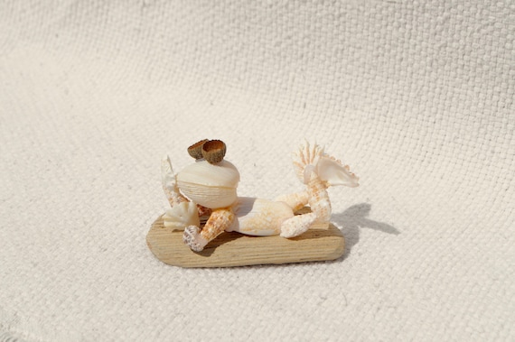 Seashell Frog Suntanning, Frog Figurine, Seashell Art, Sanibel Island  Florida Seashell Art 