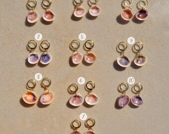 Venus Shell Huggie Hoop Earrings: Gold-Plated Sanibel Seashell Jewelry, Summer 2025 Collection