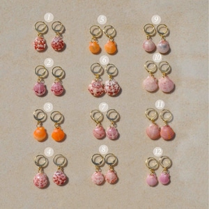 May include: A collection of twelve pairs of seashell earrings with gold-colored hoops. The earrings feature various colors, including pink, orange, and red. The seashells have unique patterns and textures, perfect for a beach-themed accessory.