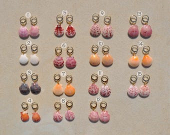 Calico Scallop Huggie Hoop Earrings: 14k Gold-Plated, Florida Beach Jewelry, Nerita Beach Collection