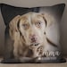 see more listings in the Pillows section