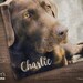 Personalized Dog Blanket, Pet Loss Gifts, Custom Photo Blanket, Dog Memorial Gift 