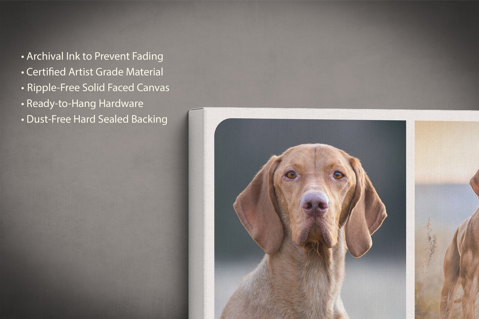 Pet Memorial Wall Art Collage Print Dog Loss Gift Custom Etsy