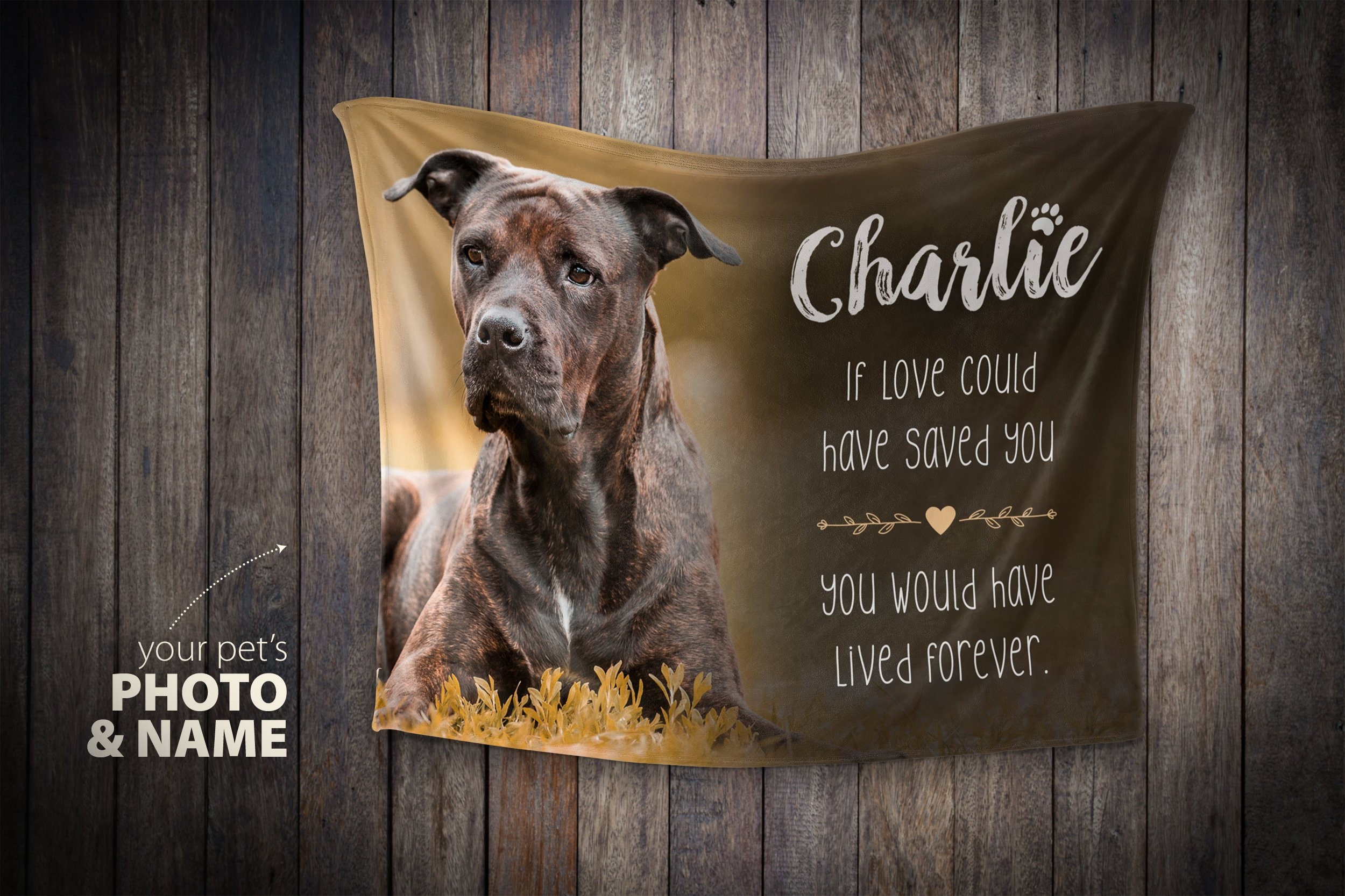 Where To Donate Pet Blankets at Rachel Frye blog