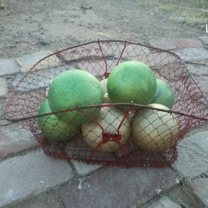 Vintage Red Wire Mesh Collapsible Egg Basket