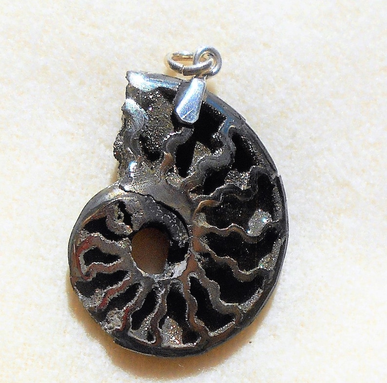 Pyritized ammonite pendant