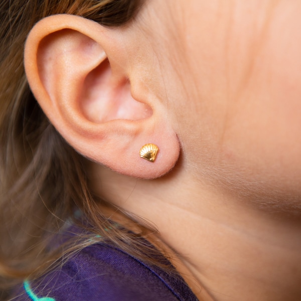 Pair of Seashell Earring Dainty, Screw on Flat back, Hypoallergenic, Kid and Adult Friendly!