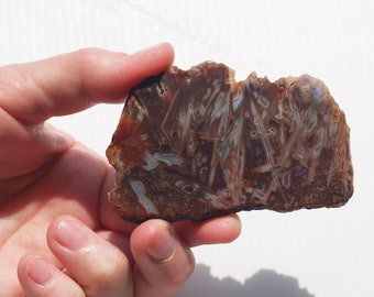 Agate Slice Natural Stone Lapidary Slab Brazilian Agate Rough Slab for Finishing