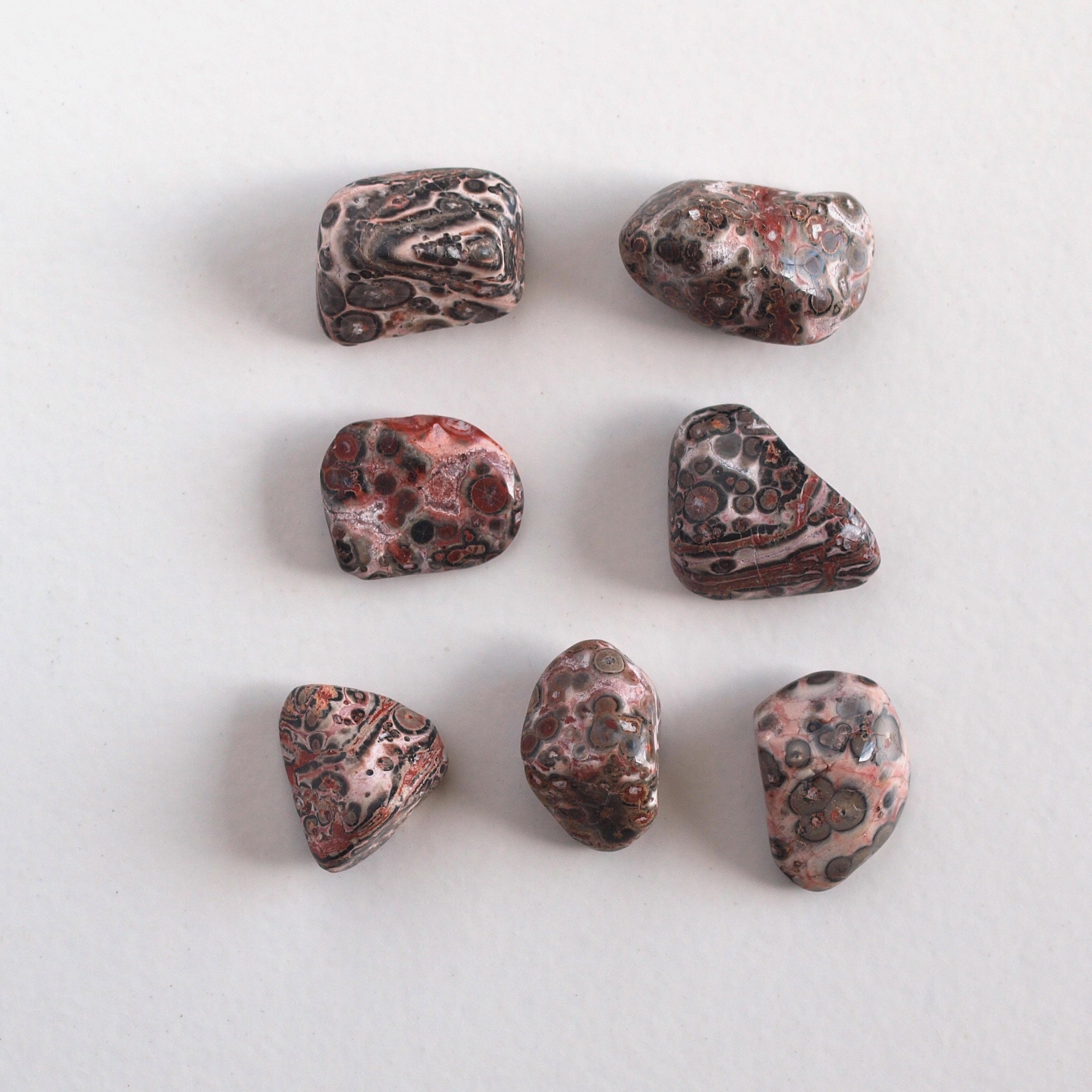 leopard skin jasper leopard skin jasper