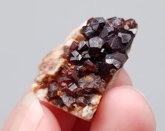 Spessartine Garnet on Matrix || Raw Crystal Cluster || Rocks and Minerals || Gemstones || January Birthstone