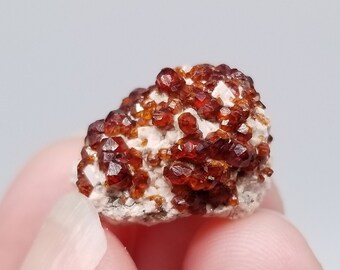 Spessartine Garnet on Matrix || Raw Crystal Cluster || Rocks and Minerals || Gemstones || January Birthstone