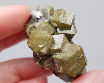 Yellow Green Garnet Cluster || Andradite || Raw Crystal Cluster || Rocks and Minerals || Gemstones || January Birthstone