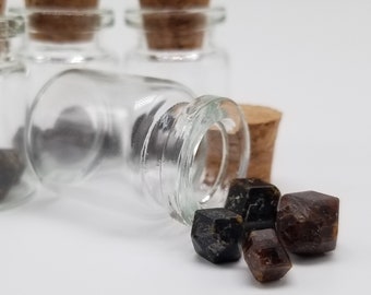 Black Garnet Jar || Melanite || Andradite || Specimen Vial || Raw Crystals in a Bottle || Rocks and Minerals || January Birthstone