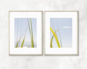 Santa Barbara Beach Grass Prints: California Coastal Wall Art