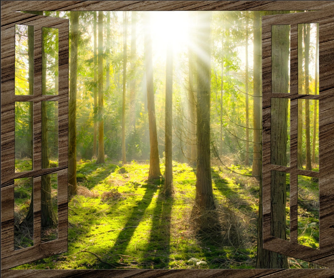 Faux Wall Art Mural Fake Window View Vinyl Forest Rays Etsy