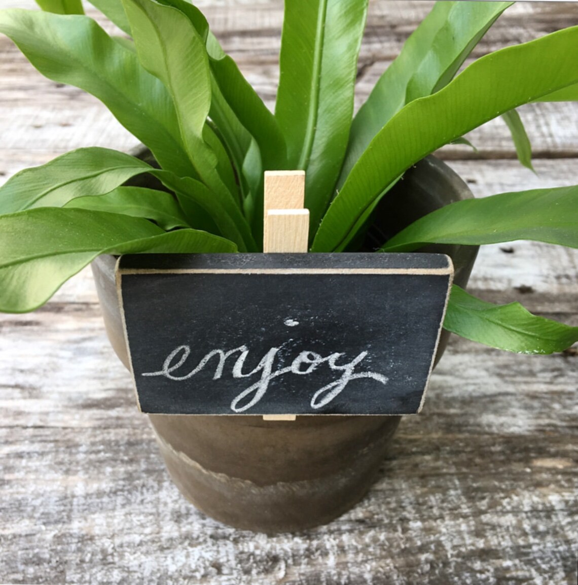 Mini Chalkboard Sign Chalkboard Clothespins Basket Labels Etsy