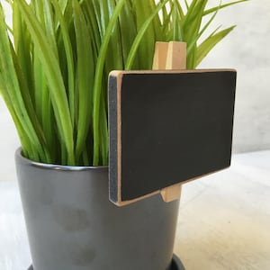 May include: A potted green plant with a small black chalkboard sign attached to the pot with a wooden clip. The sign is blank.