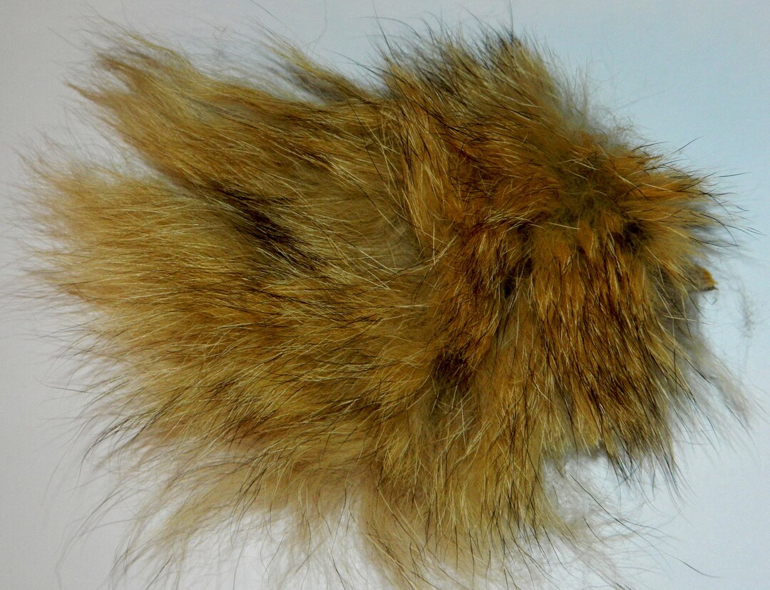 Coyote Hair Fur 2x3 Bag - Etsy