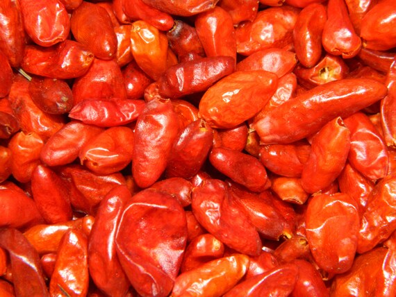 Chile Pequin Chile De Monte 1oz Etsy