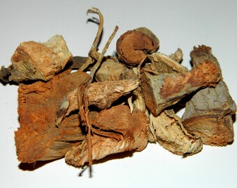 Mexican Dragons Blood Root - Sangre de Grado/Drago - Limited - Genuine Mexican Product - 1/2 Oz.