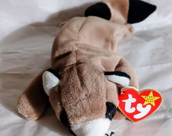 RINGO WASCHBÄR Ty Original Beanie Baby 1995 Double Tush Tag P.V.C. Pellets Immer gespeichert Vintage Sammler Plüsch Plüschtier