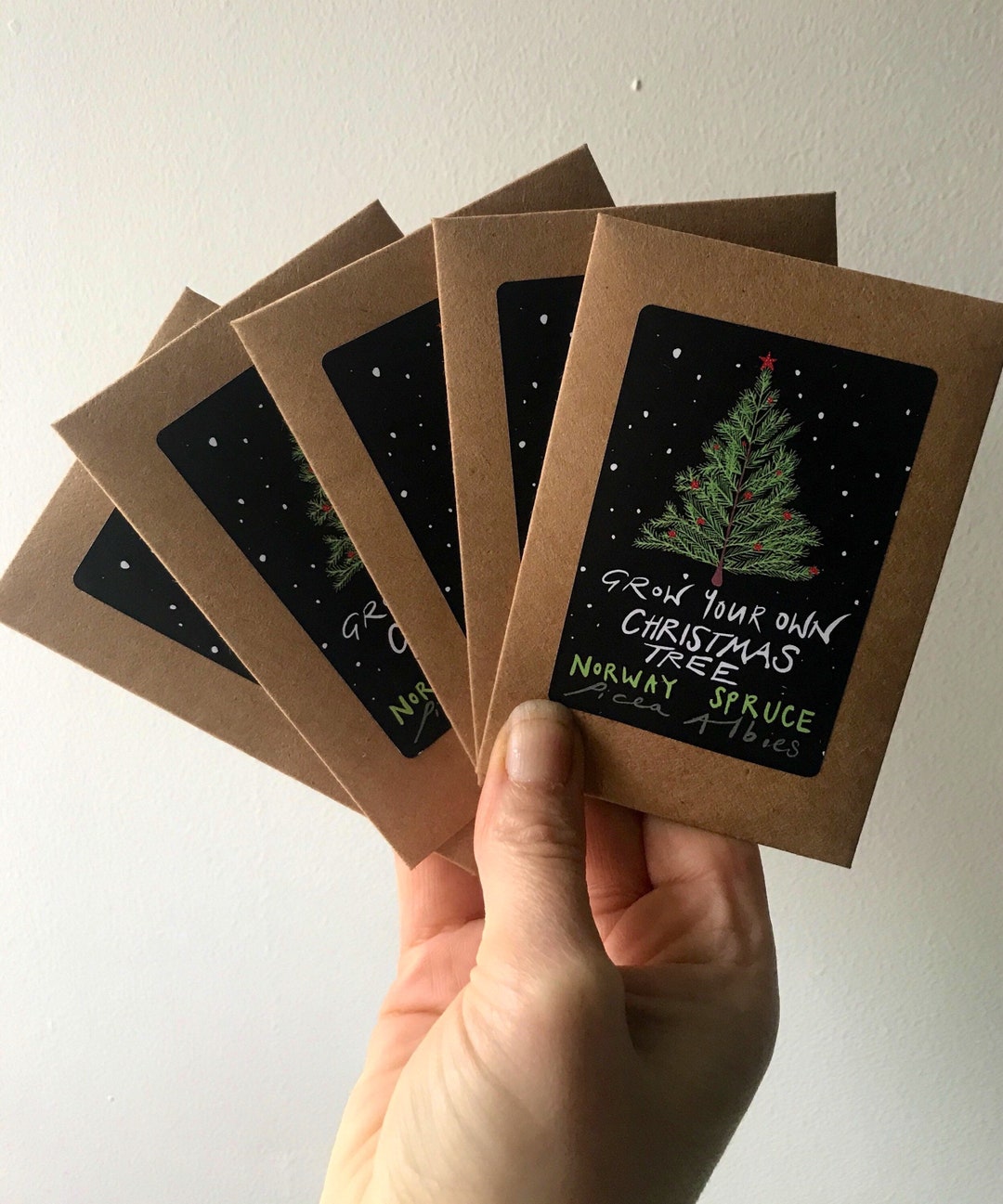 Grow Your Own Christmas Tree Christmas Tree Seeds Stocking Filler Mini