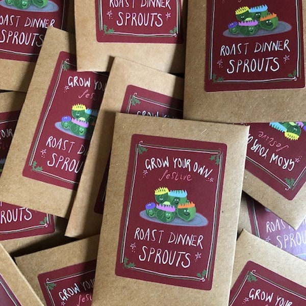 Grow your own Festive Sprouts  - stocking fillers - xmas gifts - advent calenders- favors