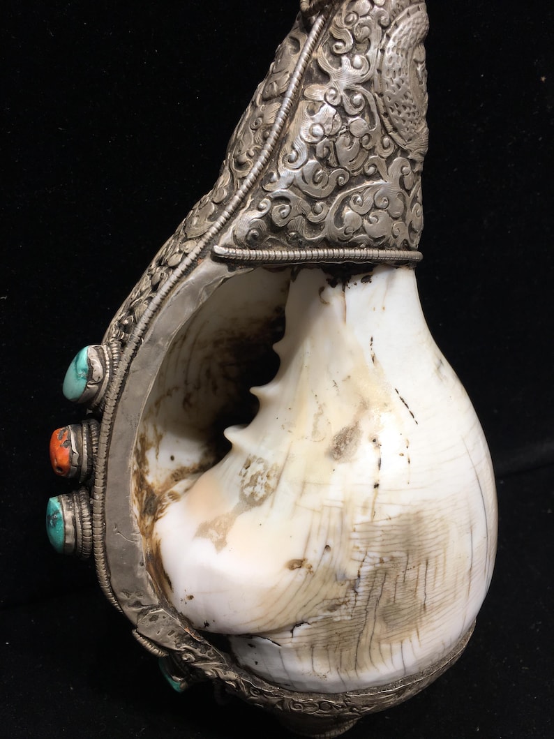 Antique Tibetan Conch Shell Horn: Sterling Silver Repousse, Turquoise ...