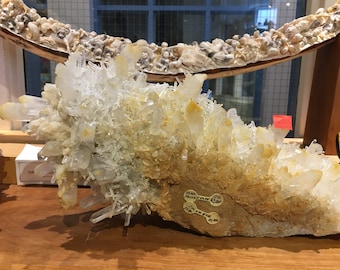 Mango Quartz Crystal Golden Healer with Halloysite Phantoms, Columbia Natural Specimen, SHIPPING NOT INCL