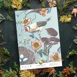 May include: A blue and white wallpaper design featuring a bird, mushrooms, and flowers. The wallpaper is called "Wild Birdroom Wallpaper" and is by "The Wallpaper Room".