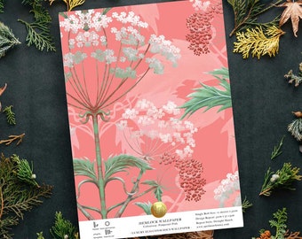 Pimpernel Pink Hemlock Wallpaper Sample | Vintage Botanical Wallpaper, William Morris Style Floral, Hand‑Drawn Nature Decor