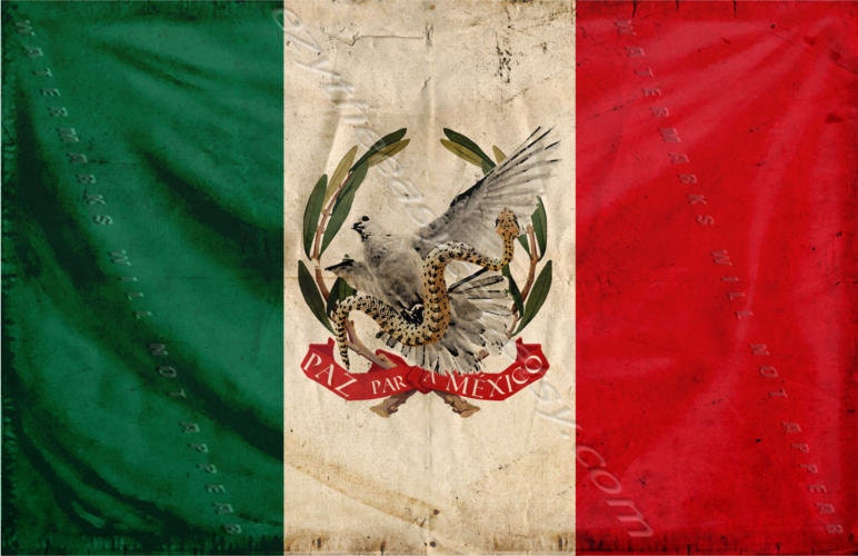 Paz para Mexico Peace for Mexico Fantastic Mexican flag | Etsy