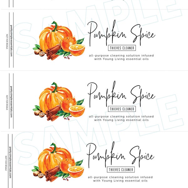 Pumpkin Spice Thieves Household Cleaning Spray labels — PRINTABLES for DIY all purpose cleaner bottles