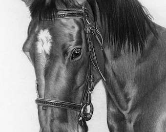 Pencil Portraits, custom drawn - any subject of your choice