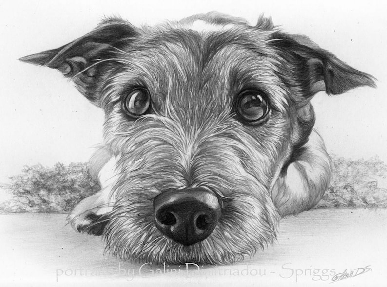 Custom drawn pencil portraits any subject of your choice image 1