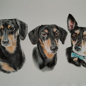 Colour pencil portraits, custom drawn - Any subject of your choice image 7