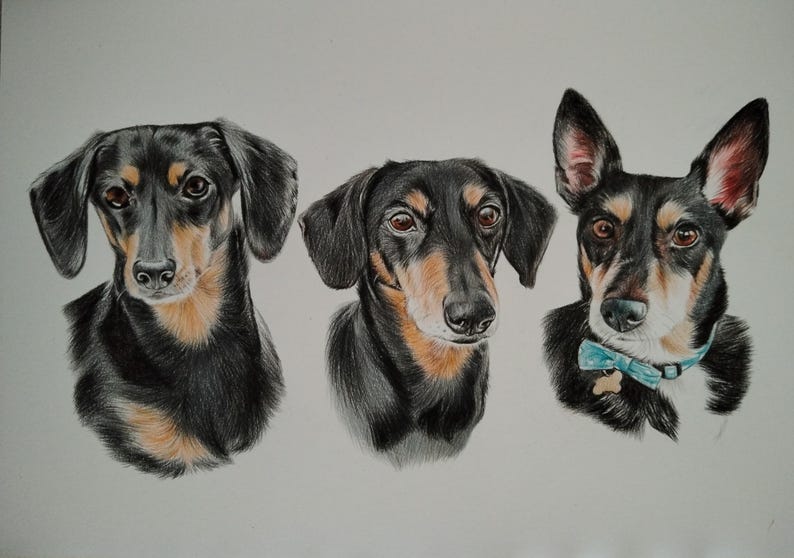 Colour pencil portraits, custom drawn - Any subject of your choice image 7