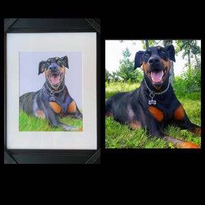 Colour pencil portraits, custom drawn - Any subject of your choice image 9