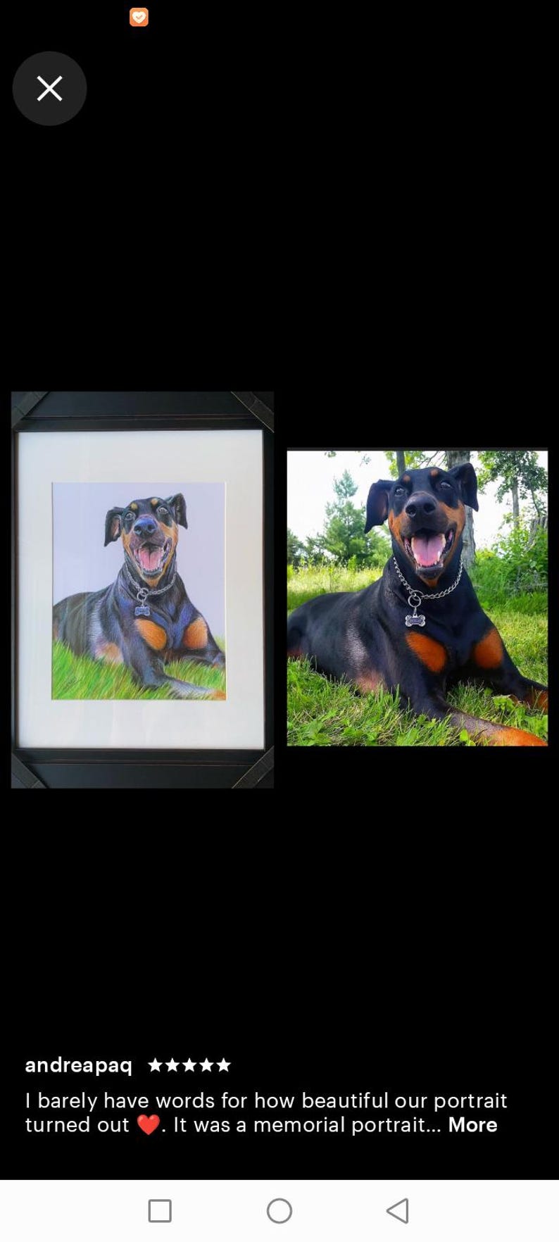 Colour pencil portraits, custom drawn - Any subject of your choice image 9